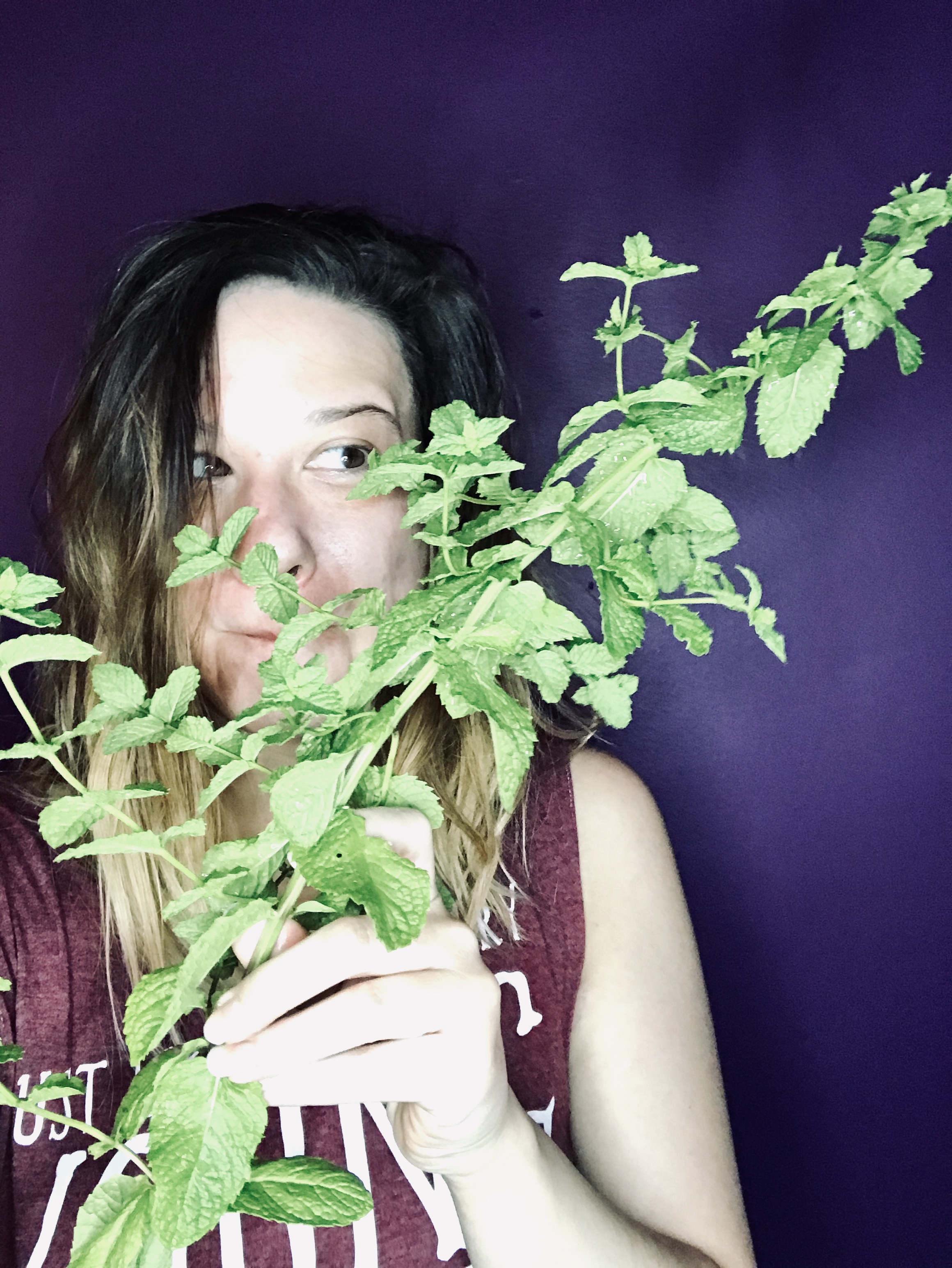 47642E26-00D6-4832-B584-F413EEC72B33_1_201_a